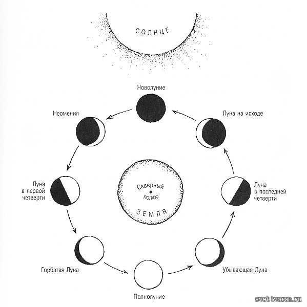 Схема фаз луны рисунок