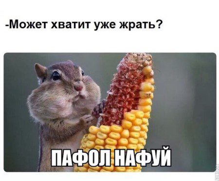 0rxqybtbix8