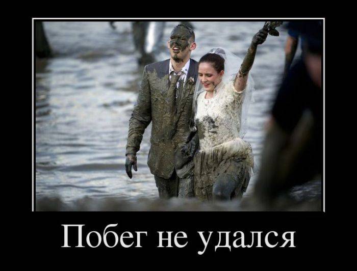 d181d0b2d0b0d0b4d18cd0b1d0b0-d0b4d0b5d0bcd0bed182d0b8d0b2d0b0d182d0bed180-d0bfd0b5d181d0bed187d0bdd0b8d186d0b0-713840
