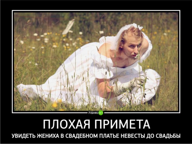 cde863fa29c1c74457c87b840817b91d_783x0