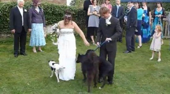 wedding-22
