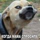 Прикольные смешные картинки (40 фото)