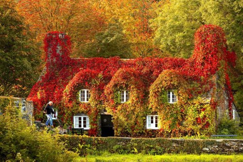 Осеннее преображение природы в фотографиях (23 фото)