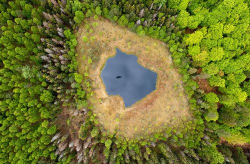 Осеннее преображение природы в фотографиях (23 фото)