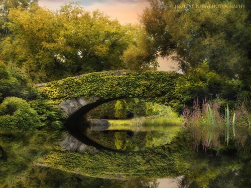 Осеннее преображение природы в фотографиях (23 фото)