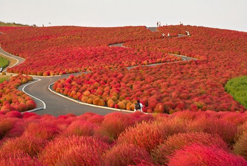 Осеннее преображение природы в фотографиях (23 фото)