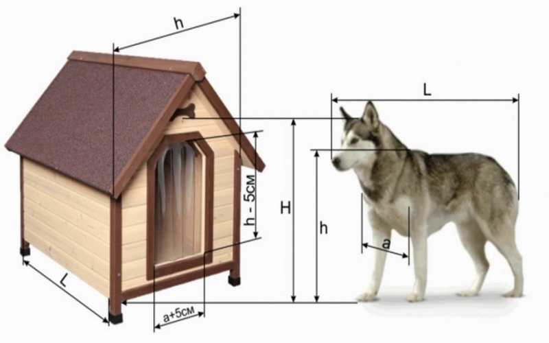 Схематично соотношение размеров будки и величины питомца показано на рисунке: