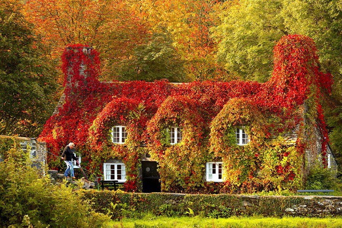 3. Дом - Tea house (North Wales). Осень 3. Дом - Tea house (North Wales). Осень