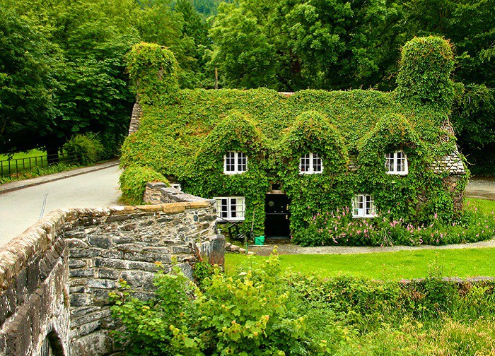 2. Дом - Tea house (North Wales). Лето 2. Дом - Tea house (North Wales). Лето