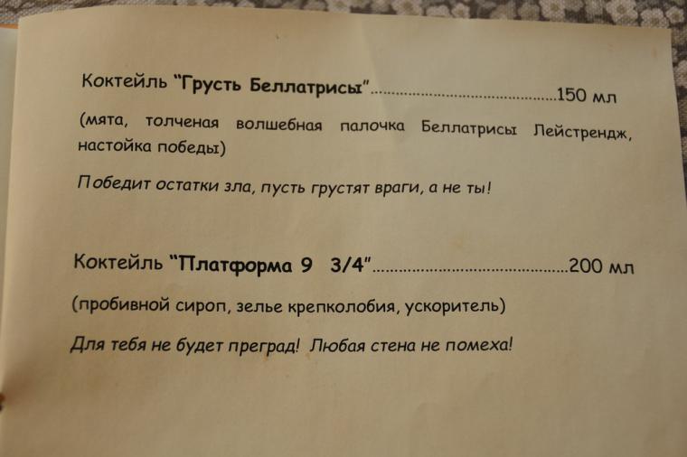 Как подготовиться к Дню Рождения в стиле Гарри Поттера за три ночи и три дня, фото № 35