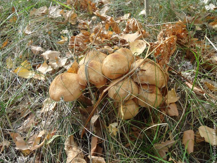 Винтажный чемодан своими руками, фото № 49