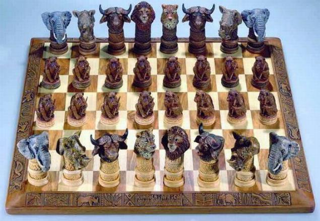 Немного спорта: шахматы, фото № 39