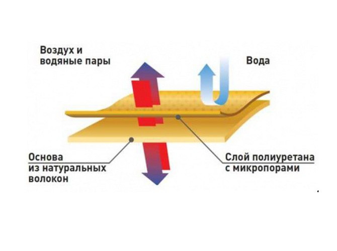 Искусственная Кожа, фото № 2