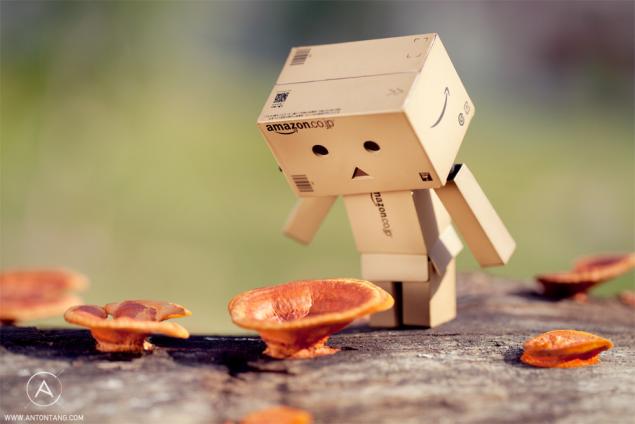 Картонный человечек Данбо (Danbo)!, фото № 13