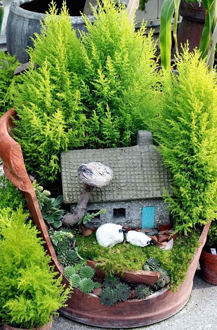 Миниатюрный сад на окошке, фото № 20