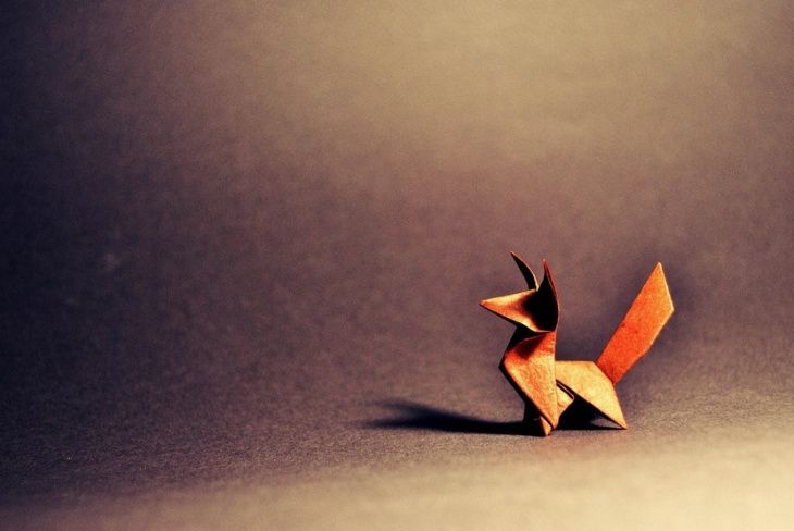 Мокрое оригами. Магия воды и бумаги, фото № 1