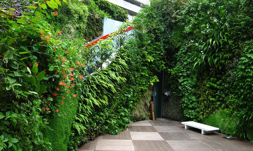 Вертикальное озеленение сада