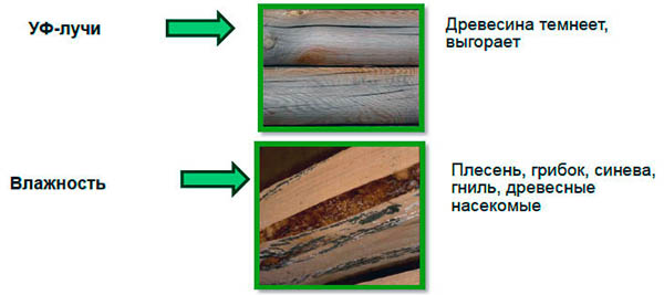 – воздействие плесени, грибков и ук лучей на незащищённую древесину