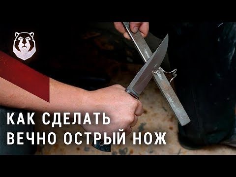 Вечно острый нож! Как сделать?