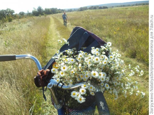 прогулка на великах