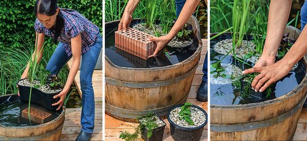 Шаги 10, 11 и 12: ставим в бадью корзины с посаженными растениями, подкладываем кирпичи, размещаем роголистник для очистки воды