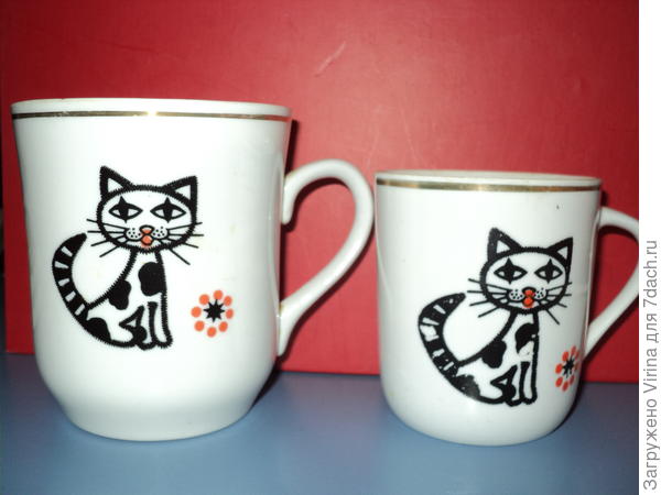 Коты и чай