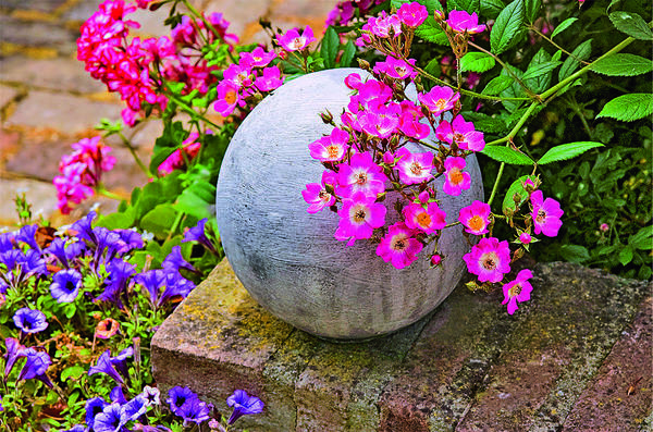 Классические садовые аксессуары все чаще изготавливают из бетона, а не из камня. На фото ремонтантная роза Mozart нежно обнимает бетонный шар.
