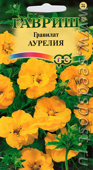 гравилат