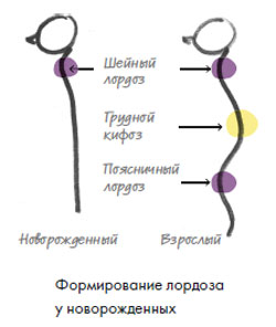 Детская кроватка: что внутри? Матрас, пеленки, позиционер