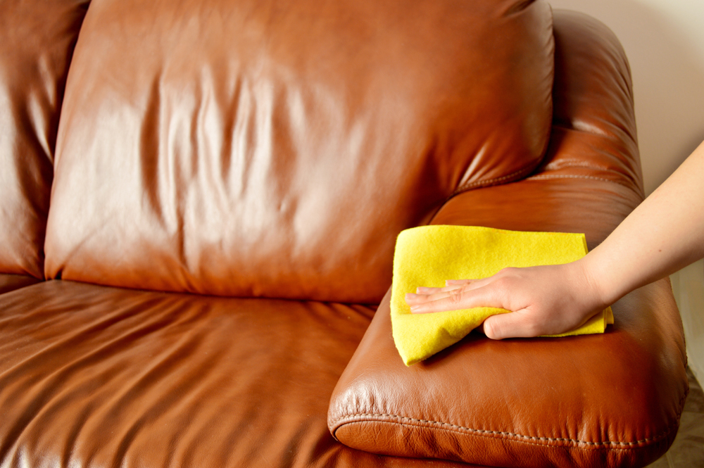 Вывести мочу с дивана взрослого человека в домашних условиях