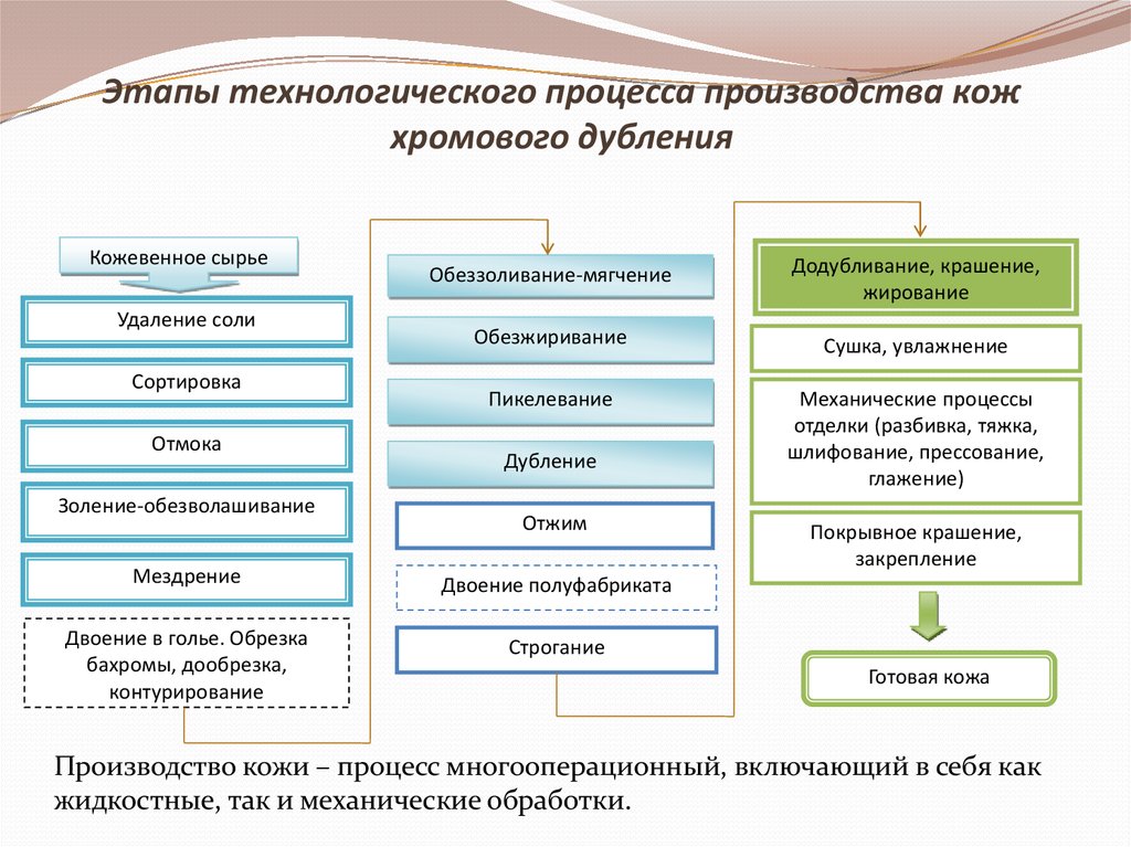 Процесс производства кожи