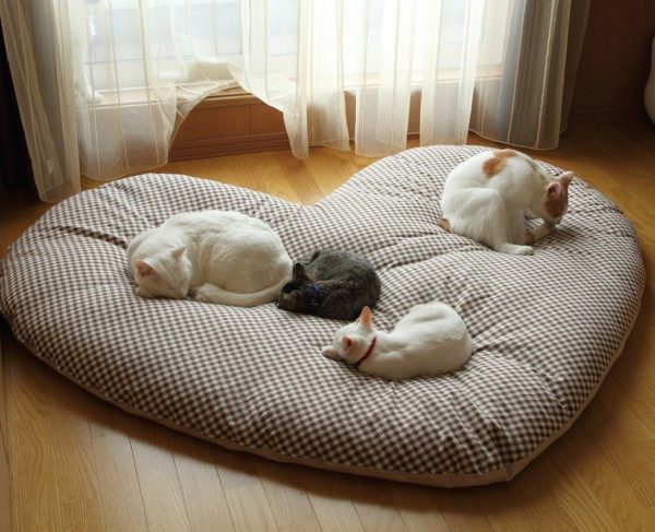 Большая подушка в форме сердечка, на ней расположились четыре кошки