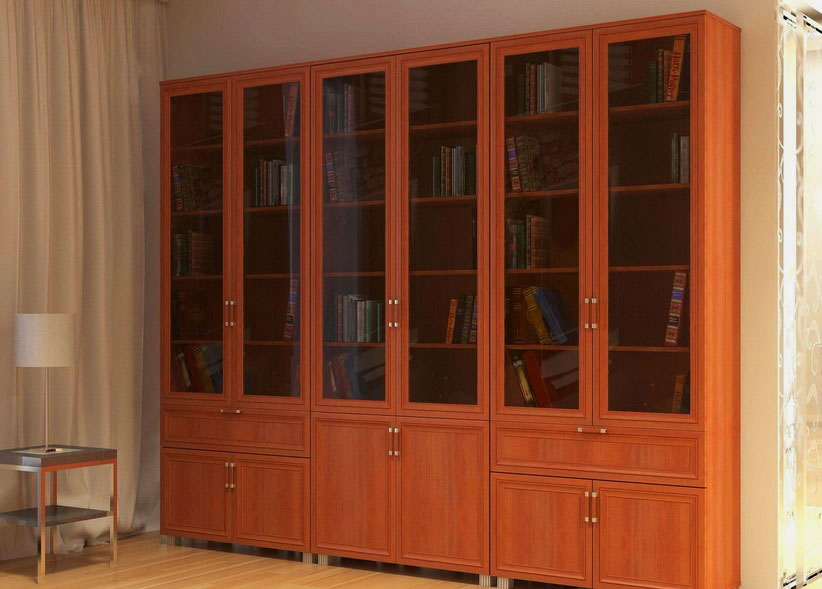 Фото книжного шкафа с распашными стеклянными дверьми