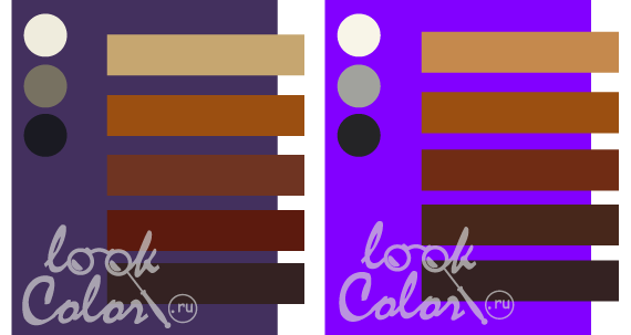 сочетание средне-фиолетового и ярко-фиолетового с коричневым