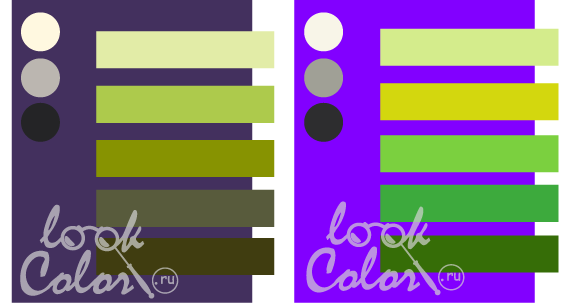сочетание средне-фиолетового и ярко-фиолетового с  теплым зеленым