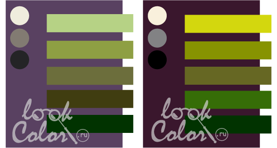 сочетание серо-фиолетового и баклажанового с теплым зеленым