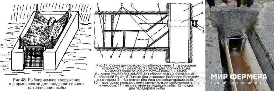 Рыбоуловитель своими руками