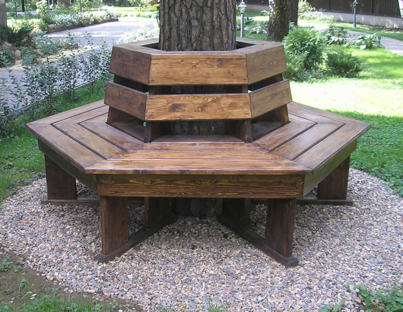 Деревянная скамейка вокруг дерева