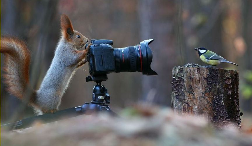 foto-zametki-interesnye-i-zabavnye-kartinki-krasivye-foto-prirody-avtor-etogo-foto-Vadim-Trunov