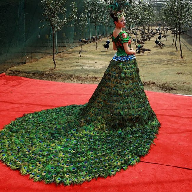 Свадебное платье от китайцев из перьев павлинов