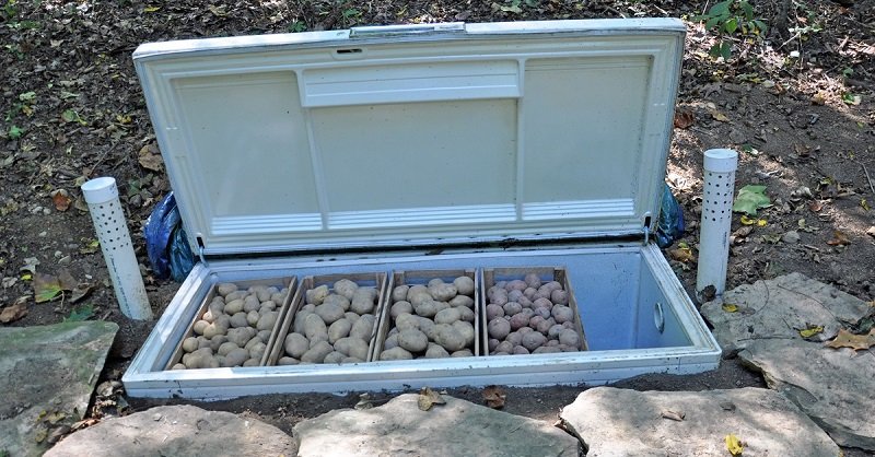 погреб для картофеля