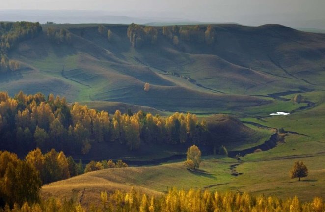 Холмистый рельеф местности