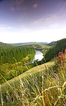 Kronospan’s 11,000 ha forest in Scotland